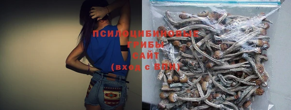 круглые Карпинск