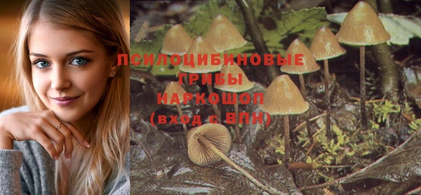 соль курить ск Карталы