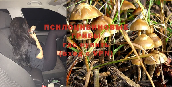 jwh Касимов